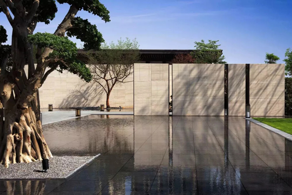 心之所向，桃花源！