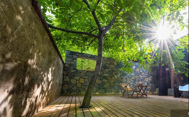 同信·愛家壹號|曾經(jīng)江湖策馬，如今院里觀花！