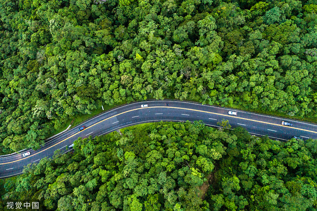 福利請(qǐng)查收丨點(diǎn)亮團(tuán)圓路，與愛(ài)相伴同心同行！