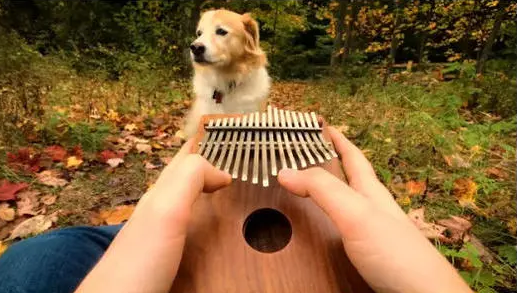 河畔有約丨看見(jiàn)指尖藝術(shù)，聆聽(tīng)幻彩音符！